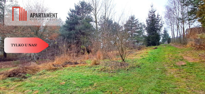 Niewielka działka w okolicy lasu i jeziora - Wierzchucinek  - Kujawsko-Pomorskie