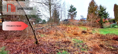 Niewielka działka w okolicy lasu i jeziora - Wierzchucinek  -
Kujawsko-Pomorskie Zdjęcie nr 4