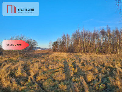 Działka budowlana przy drodze krajowej nr 20 - Hopowo  -
Pomorskie Zdjęcie nr 2