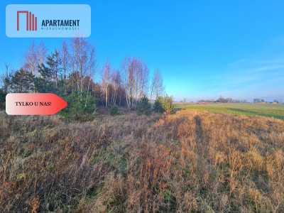 Działka budowlana przy drodze krajowej nr 20 - Hopowo  -
Pomorskie Zdjęcie nr 3