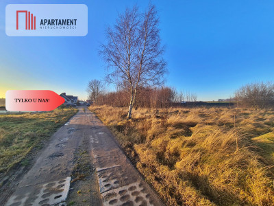 Działka budowlana przy drodze krajowej nr 20 - Hopowo  -
Pomorskie Zdjęcie nr 4