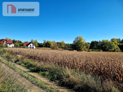 Działka na sprzedaż - Biały Kościół  -
Dolnośląskie Zdjęcie nr 3