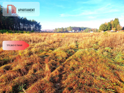 Atrakcyjna działka budowlana na skraju wsi - Kwieki  -
Pomorskie Zdjęcie nr 3