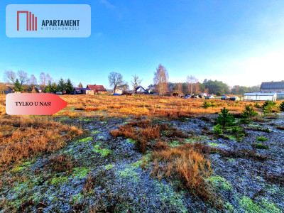 Atrakcyjna działka budowlana na skraju wsi - Kwieki  -
Pomorskie Zdjęcie nr 4