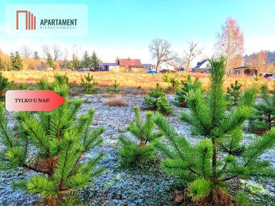 Atrakcyjna działka budowlana na skraju wsi - Kwieki  -
Pomorskie Zdjęcie nr 5