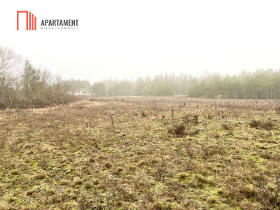 Działki z WZ Żołędowo - Żołędowo  -
Kujawsko-Pomorskie Zdjęcie nr 10