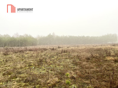 Działki z WZ Żołędowo - Żołędowo  - Kujawsko-Pomorskie