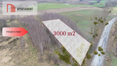  Działka 3000m2 z WZ Łąsko Małe KORONOWO - Łąsko Małe  -
Kujawsko-Pomorskie Zdjęcie nr 2