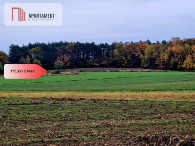 Działka rolna - Łazy Wielkie  -
Dolnośląskie Zdjęcie nr 3