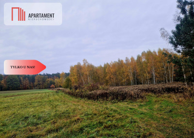 Działka rolna - Łazy Wielkie  -
Dolnośląskie Zdjęcie nr 4