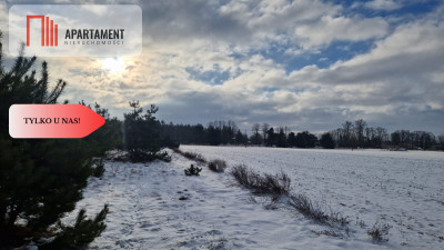 Tylko u nas Komplek działek z MPZP - Nowa Wieś Wielka  -
Kujawsko-Pomorskie Zdjęcie nr 2