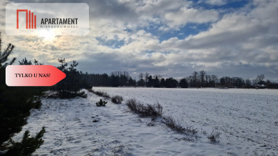 Tylko u nas Komplek działek z MPZP - Nowa Wieś Wielka  -
Kujawsko-Pomorskie Zdjęcie nr 3