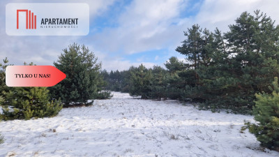 Tylko u nas Komplek działek z MPZP - Nowa Wieś Wielka  -
Kujawsko-Pomorskie Zdjęcie nr 6