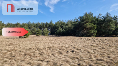 Tylko u nas Kompleks działek z MPZP - Nowa Wieś Wielka  -
Kujawsko-Pomorskie Zdjęcie nr 7