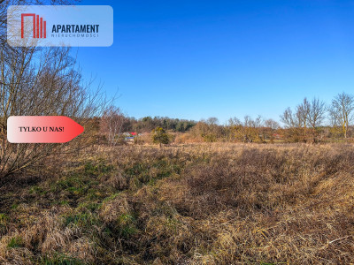 Działka 15 ha ze stawem w Parku Krajobrazowym - Topolinek  -
Kujawsko-Pomorskie Zdjęcie nr 10