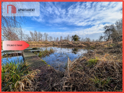 Działka 15 ha ze stawem w Parku Krajobrazowym - Topolinek  - Kujawsko-Pomorskie