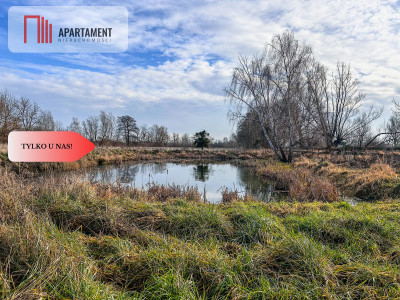 Działka 15 ha ze stawem w Parku Krajobrazowym - Topolinek  -
Kujawsko-Pomorskie Zdjęcie nr 2
