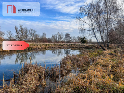 Działka 15 ha ze stawem w Parku Krajobrazowym - Topolinek  -
Kujawsko-Pomorskie Zdjęcie nr 3