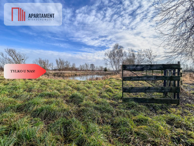 Działka 15 ha ze stawem w Parku Krajobrazowym - Topolinek  -
Kujawsko-Pomorskie Zdjęcie nr 4