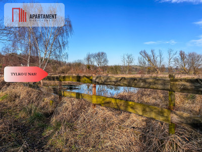 Działka 15 ha ze stawem w Parku Krajobrazowym - Topolinek  -
Kujawsko-Pomorskie Zdjęcie nr 5