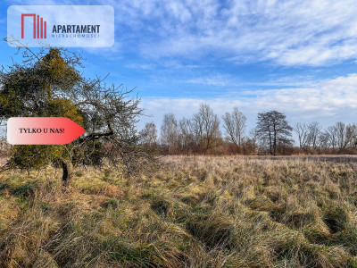 Działka 15 ha ze stawem w Parku Krajobrazowym - Topolinek  -
Kujawsko-Pomorskie Zdjęcie nr 6