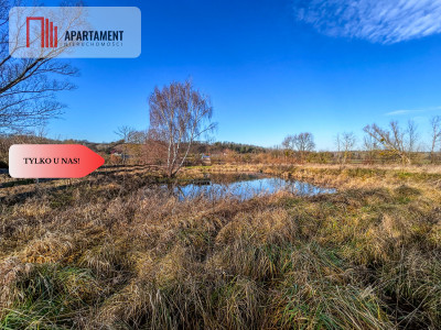 Działka 15 ha ze stawem w Parku Krajobrazowym - Topolinek  -
Kujawsko-Pomorskie Zdjęcie nr 7