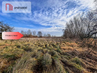 Działka 15 ha ze stawem w Parku Krajobrazowym - Topolinek  -
Kujawsko-Pomorskie Zdjęcie nr 8