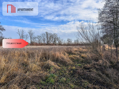 Działka 15 ha ze stawem w Parku Krajobrazowym - Topolinek  -
Kujawsko-Pomorskie Zdjęcie nr 9