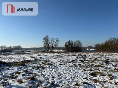 Działka Kruszki - dobra lokalizacja - Kruszki  -
Wielkopolskie Zdjęcie nr 4