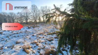 Działka z WZ dla inwestora - Wałcz  -
Zachodniopomorskie Zdjęcie nr 3