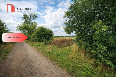 Działka pod domek letniskowy  Osiek - Osiek  -
Lubuskie Zdjęcie nr 3