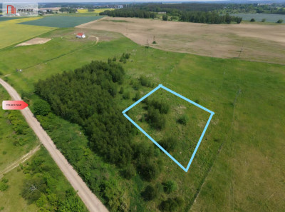 OKAZJA Działka pod domek letniskowy  Osiek - Osiek  -
Lubuskie Zdjęcie nr 4