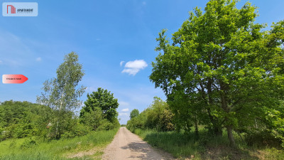 OKAZJA Działka pod domek letniskowy  Osiek - Osiek  -
Lubuskie Zdjęcie nr 6