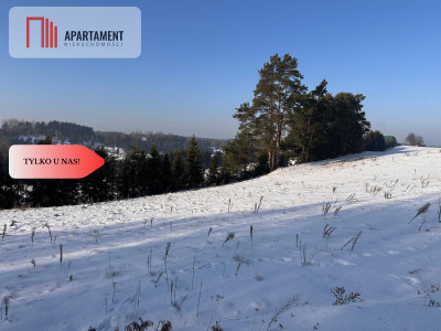 Tylko u Nas Wyjątkowe działki z WZ-Tuszkowy - Tuszkowy  -
Pomorskie Zdjęcie nr 2