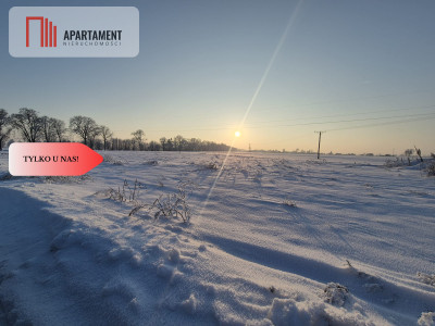 Działka budowlana Bolesławowo - Bolesławowo  -
Pomorskie Zdjęcie nr 3