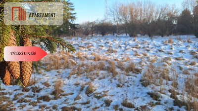 Działaka z WZ budowa osiedla - Wałcz  - Zachodniopomorskie