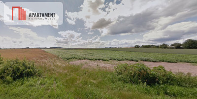 Działka budowlana w malowniczej okolicy - Nowy Dwór  - Wielkopolskie