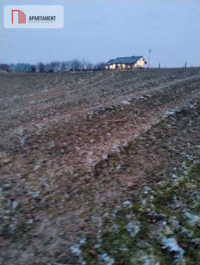 Działki z warunkami zabudowy 4 km od morza - Śmiechów  -
Zachodniopomorskie Zdjęcie nr 2