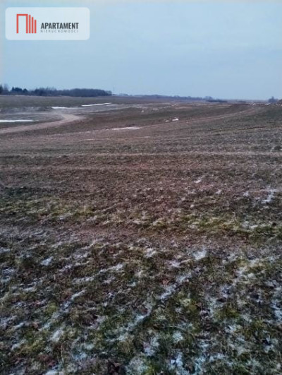 Działki z warunkami zabudowy 4 km od morza - Śmiechów  -
Zachodniopomorskie Zdjęcie nr 3