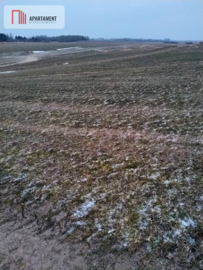 Działki z warunkami zabudowy 4 km od morza - Śmiechów  -
Zachodniopomorskie Zdjęcie nr 4