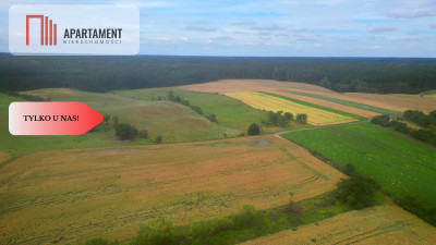 Siedlisko z warunkami zabudowy - Opalenie  -
Pomorskie Zdjęcie nr 3