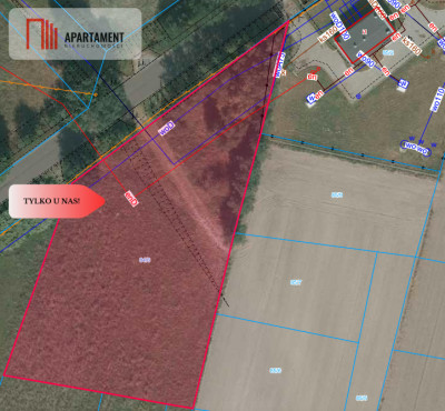 działka mieszkaniowa  2500m2 z Mpzp - Strzegów  -
Opolskie Zdjęcie nr 3