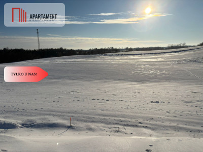 Działki z potencjałem inwestycyjnym - Liniewskie Góry  - Pomorskie