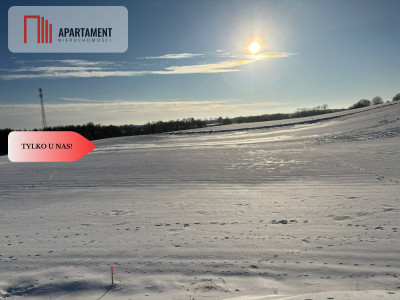 Działki z potencjałem inwestycyjnym - Liniewskie Góry  -
Pomorskie Zdjęcie nr 2