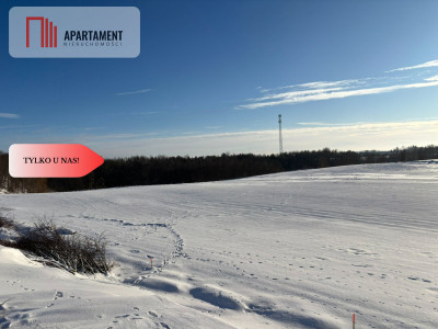 Działki z potencjałem inwestycyjnym - Liniewskie Góry  -
Pomorskie Zdjęcie nr 3