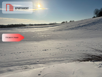 Działki z potencjałem inwestycyjnym - Liniewskie Góry  -
Pomorskie Zdjęcie nr 4