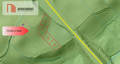 Działki z potencjałem inwestycyjnym - Liniewskie Góry  -
Pomorskie Zdjęcie nr 5