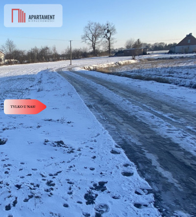 Atrakcyjne działki w SADKACH - Sadki  -
Kujawsko-Pomorskie Zdjęcie nr 2