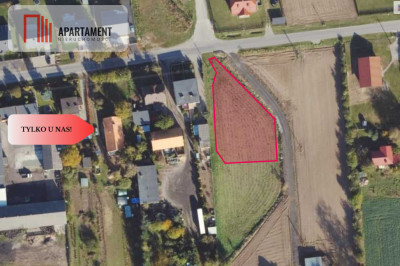 Atrakcyjne działki w SADKACH - Sadki  -
Kujawsko-Pomorskie Zdjęcie nr 6