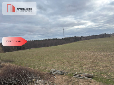 Działki z potencjałem  - Liniewskie Góry - Liniewskie Góry  -
Pomorskie Zdjęcie nr 11